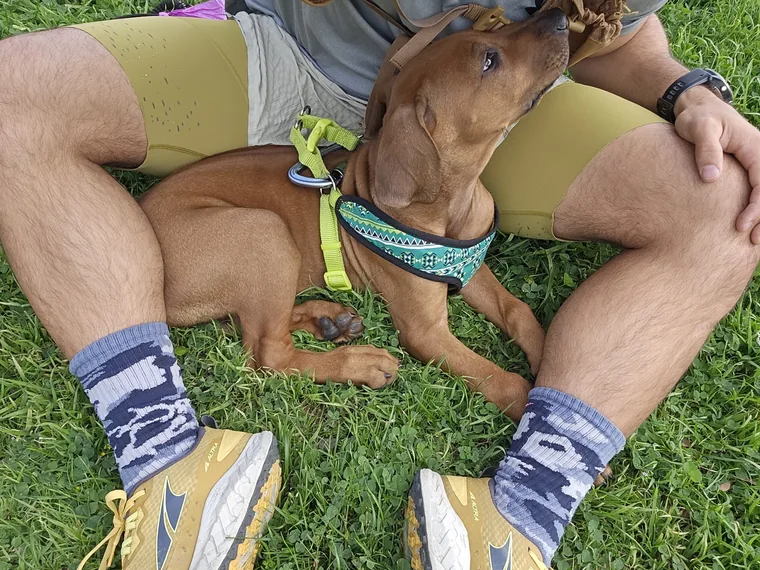 Arwen resting on the grass between the legs of a seated person.